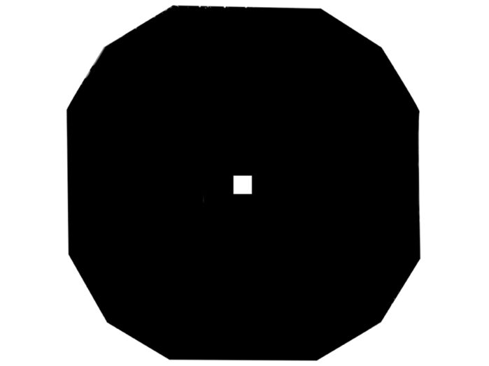 SiRN-TEM-200-0.1-100