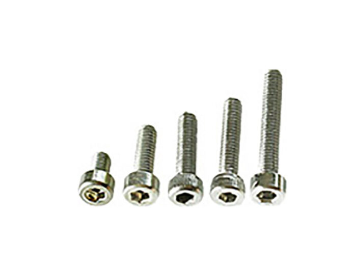 EM-Tec M2C set of socket cap screws M2, stainless steel AISI 304