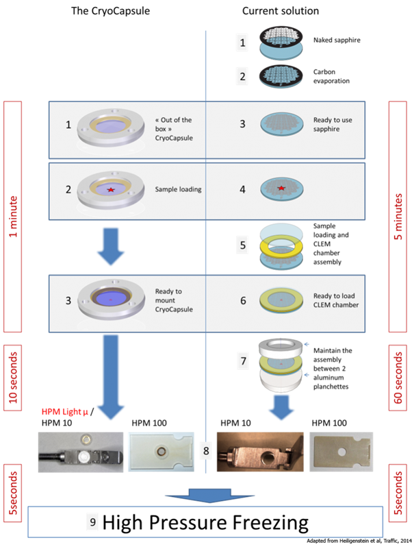 CLEM workflow