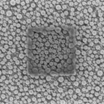 EM-KLEEN application image 1