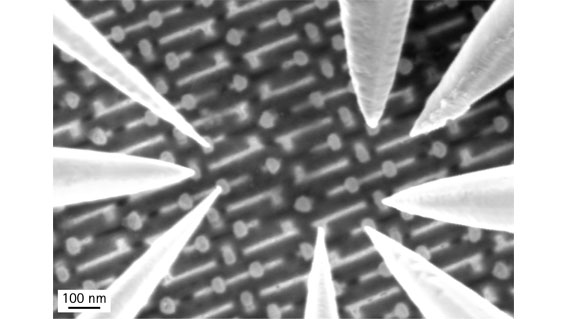 MSCT_pics_0002_Layer 1