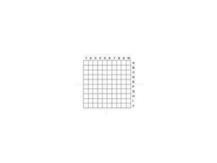 S10 Counting slide 0.05mm squares
